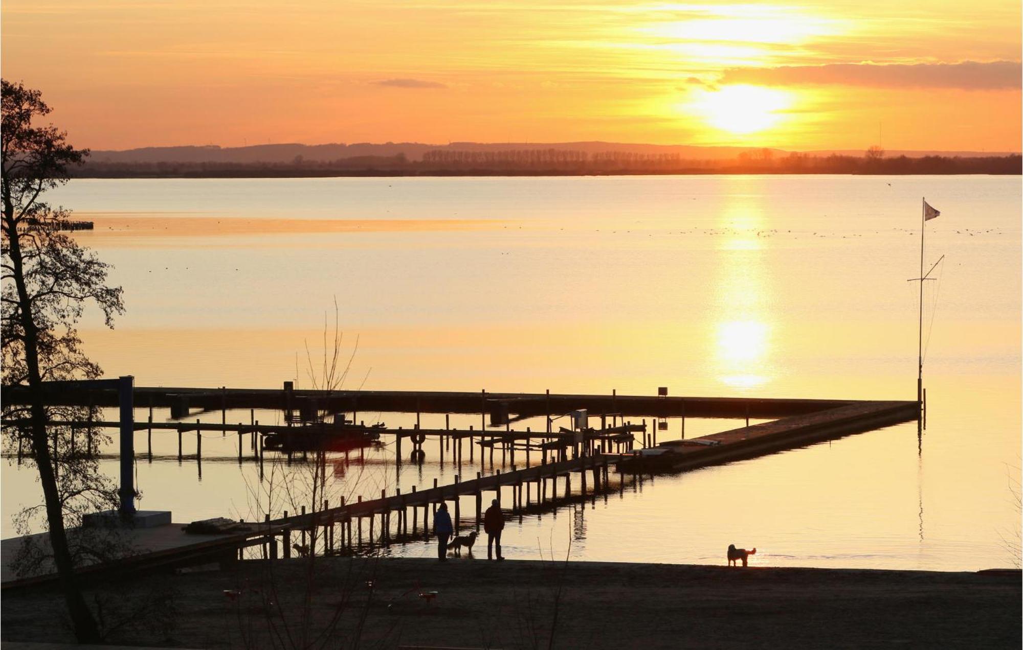 Beach Front Home In Lembruch-Duemmer See With Wifi ภายนอก รูปภาพ
